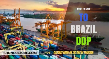 Shipping to Brazil DDP: A Comprehensive Guide for Smooth Deliveries