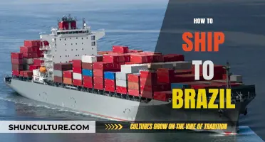 Shipping to Brazil: Essential Tips for Smooth International Deliveries