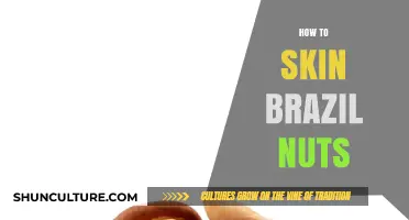 Master the Art of Skinning Brazil Nuts: A Simple Guide