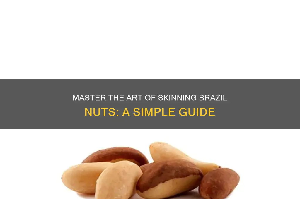 how to skin brazil nuts