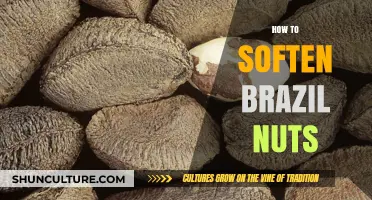 Easy Methods to Soften Brazil Nuts for Better Texture and Taste