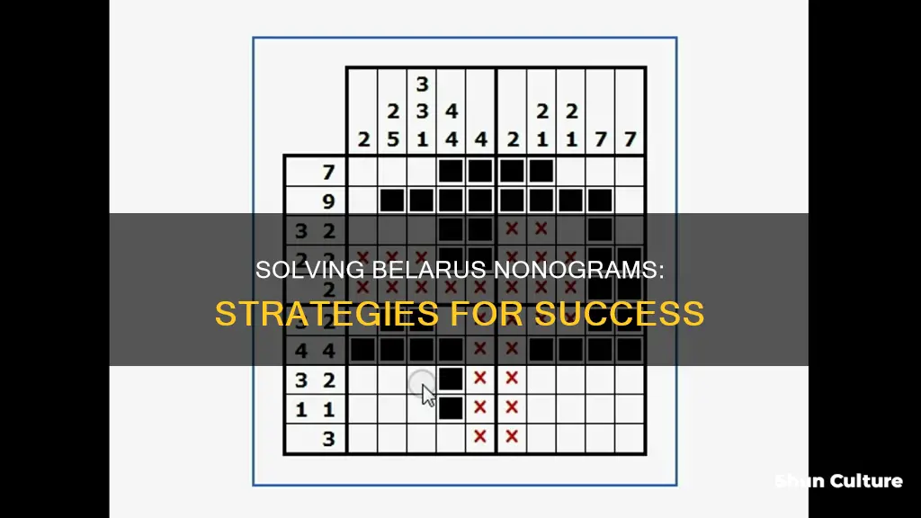 how to solve belarus nonograms