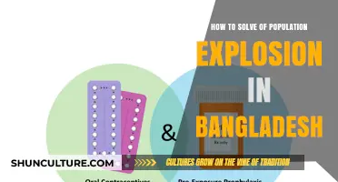 Tackling Bangladesh's Population Boom: Strategies for Sustainable Growth