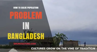 Sustainable Solutions: Tackling Bangladesh's Population Challenge Effectively