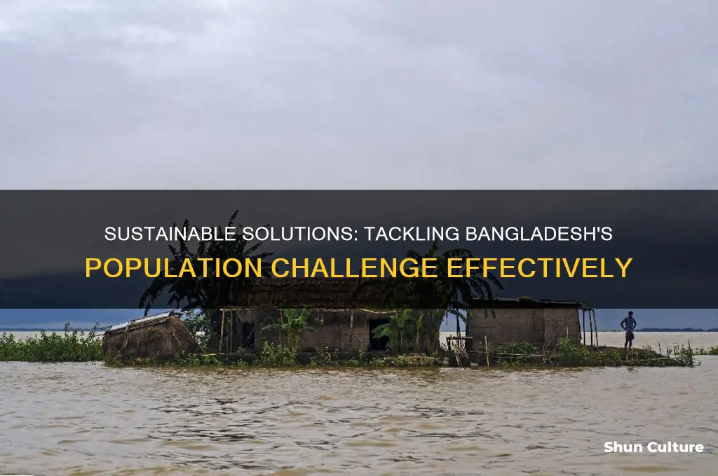 how to solve population problem in bangladesh