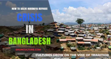 Addressing the Rohingya Refugee Crisis in Bangladesh: Strategies for Sustainable Solutions