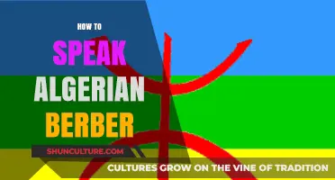 Mastering Algerian Berber: Essential Tips for Speaking the Language Fluently