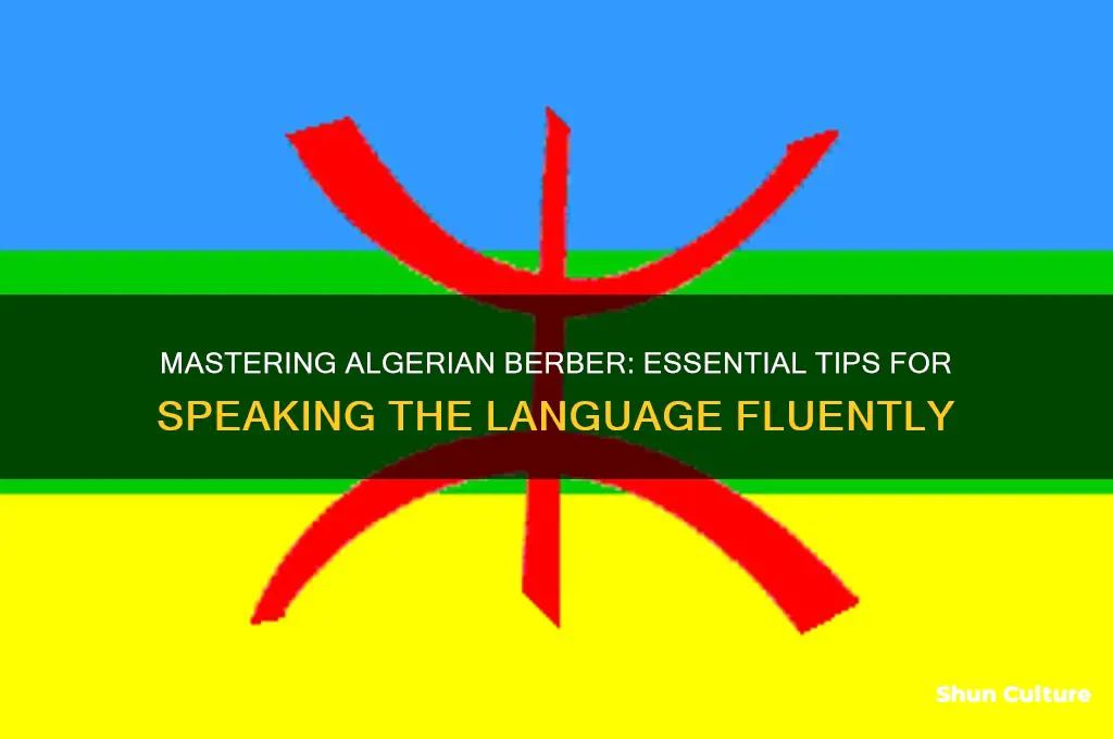 how to speak algerian berber