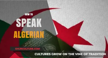 Mastering Algerian Arabic: Essential Tips to Speak Like a Local