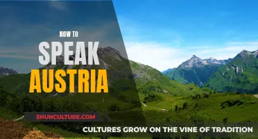 Speaking Austrian: A Guide to Language and Culture