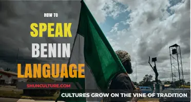 Unlocking the Secrets of Benin: A Beginner's Guide to the Language