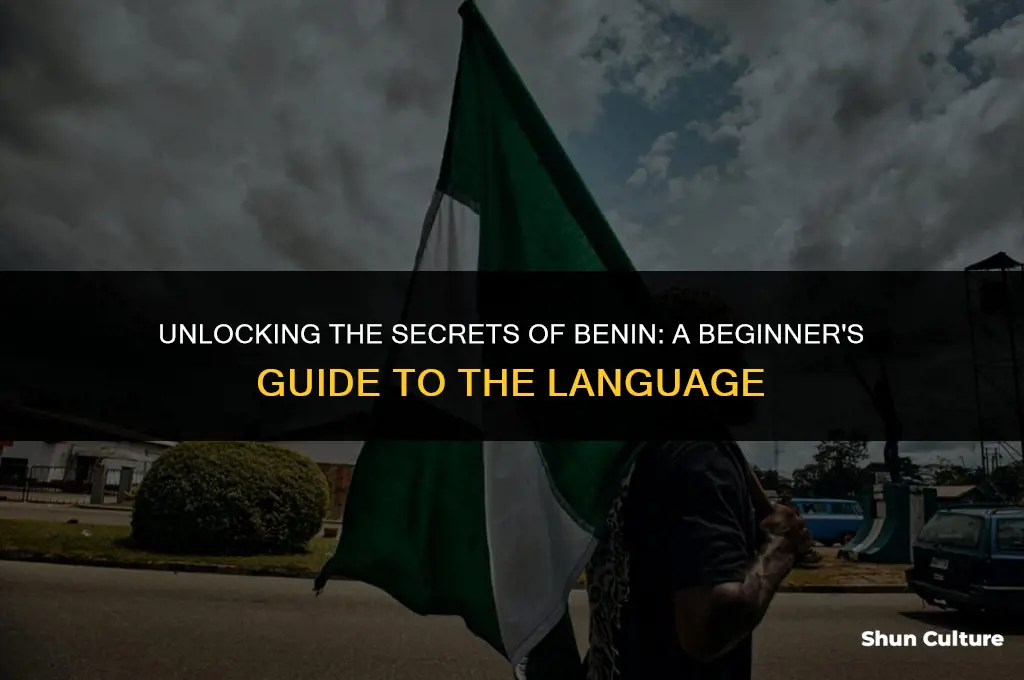 how to speak benin language