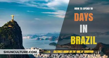 Exploring Brazil: A Perfect 10-Day Itinerary for Adventure and Culture