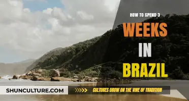 Exploring Brazil: A 3-Week Adventure Guide to Must-See Destinations