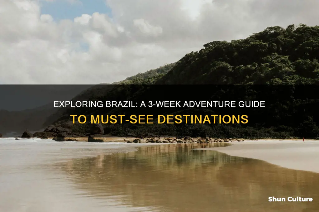 how to spend 3 weeks in brazil