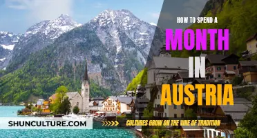 Exploring Austria: A Month-Long Adventure