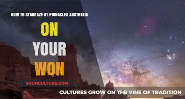 Stargazing Solo at Pinnacles, Australia: A Beginner's Guide