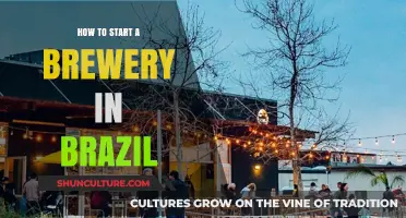 Brewing Success: A Step-by-Step Guide to Starting a Brewery in Brazil