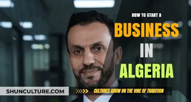Launching Your Algerian Business: A Step-by-Step Startup Guide