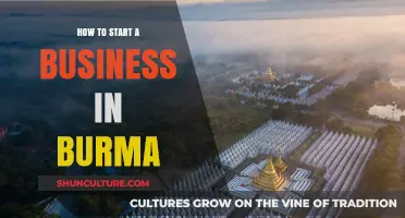 Entrepreneurial Journey: Launching Your Business in Burma