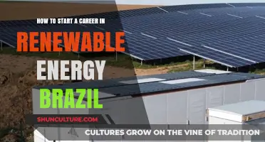 Launch Your Renewable Energy Career in Brazil: A Step-by-Step Guide