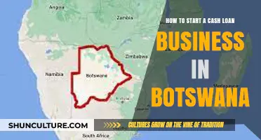 Launching a Profitable Cash Loan Business in Botswana: A Comprehensive Guide