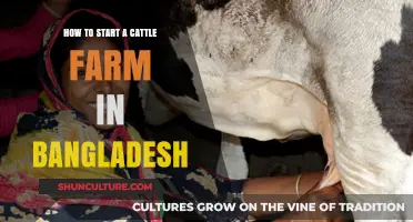 Starting a Cattle Farm in Bangladesh: A Comprehensive Beginner's Guide