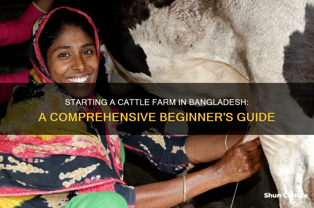 how to start a cattle farm in bangladesh