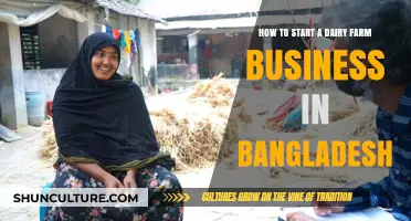 Starting a Dairy Farm Business in Bangladesh: A Comprehensive Guide