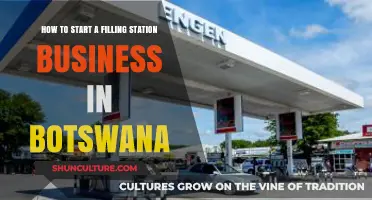 Launching a Filling Station Business in Botswana: A Comprehensive Guide