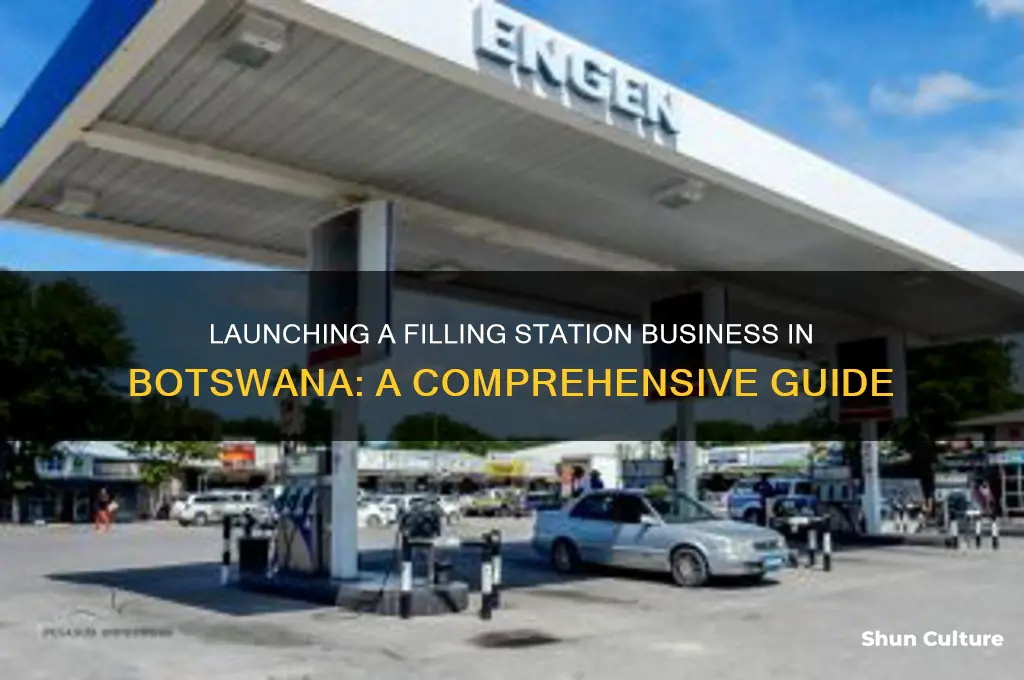 how to start a filling station business in botswana