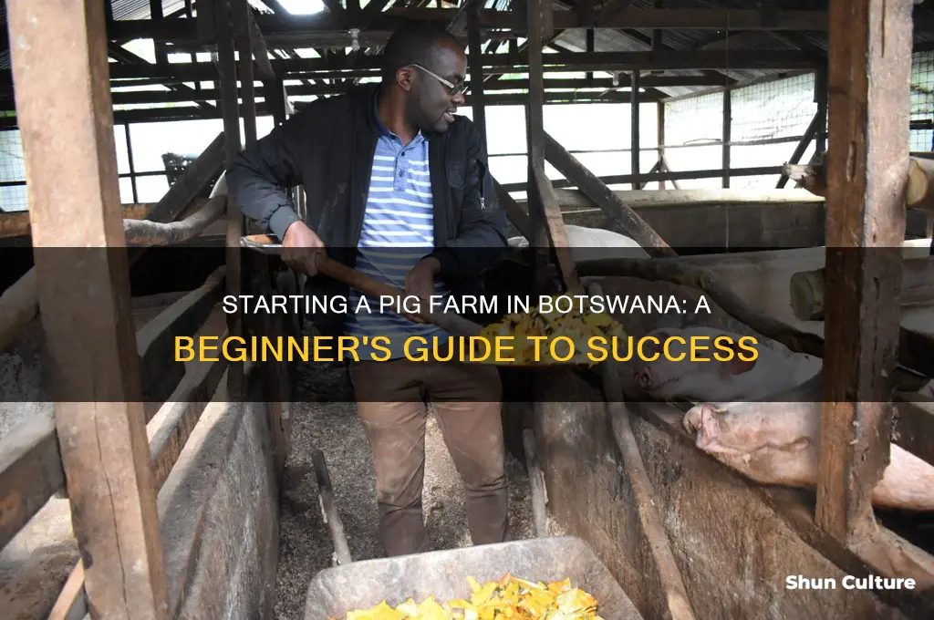 how to start a pig farm in botswana