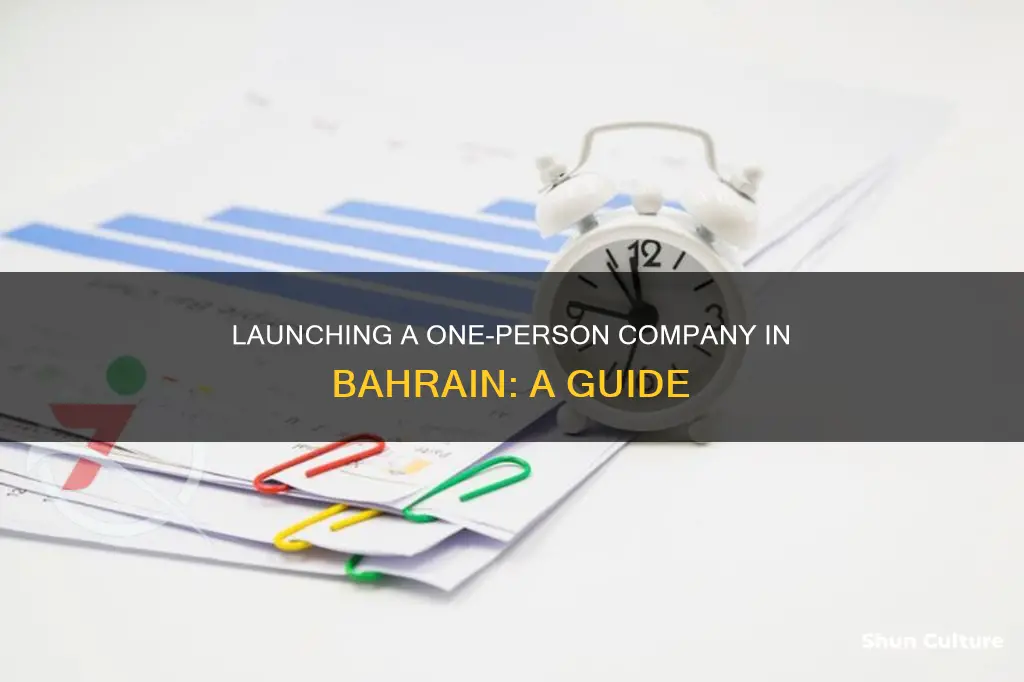 how to start a single person company in bahrain