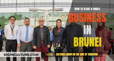 Starting a Business in Brunei: A Beginner's Guide