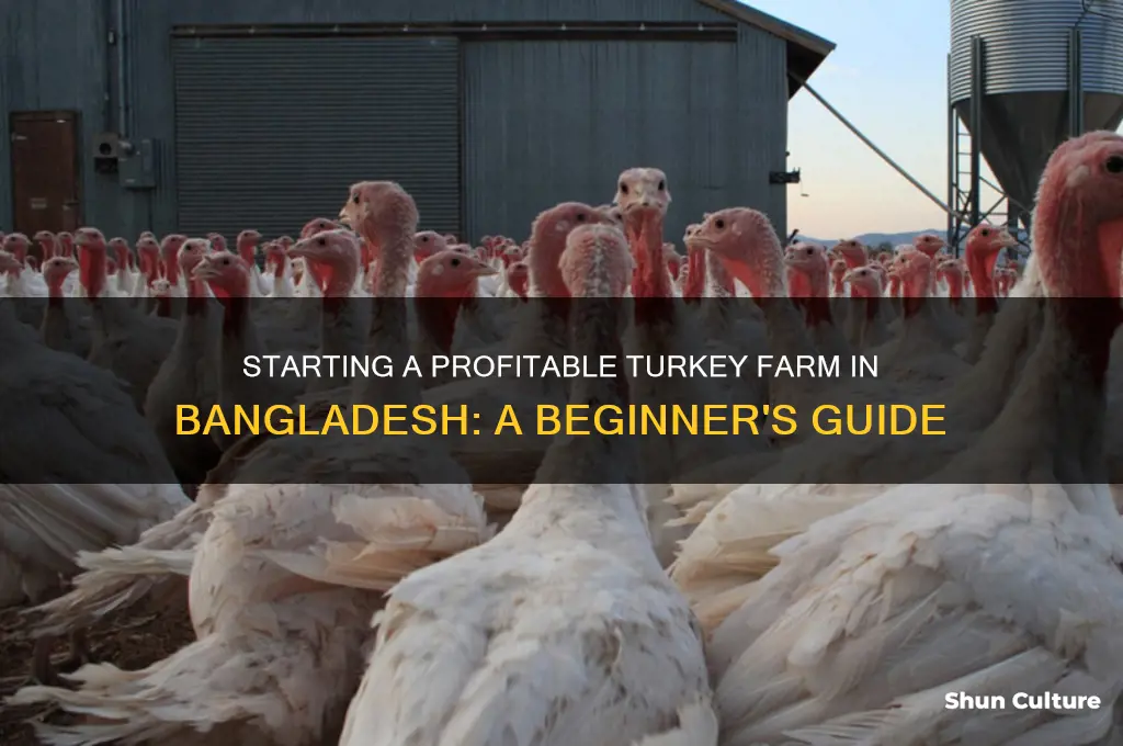 how to start a turkey farm in bangladesh