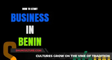 Entrepreneurial Guide: Launching Your Business in Benin