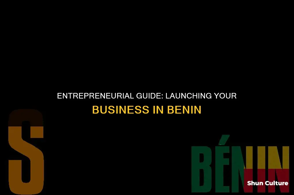 how to start business in benin