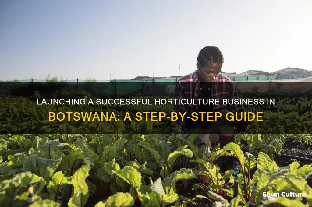 how to start horticulture business in botswana