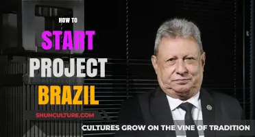 Launching Project Brazil: Essential Steps for a Successful Start