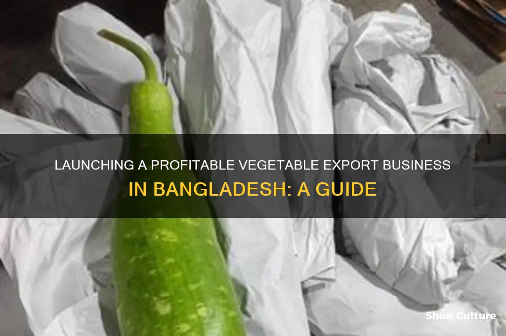 how to start vegetable export business in bangladesh