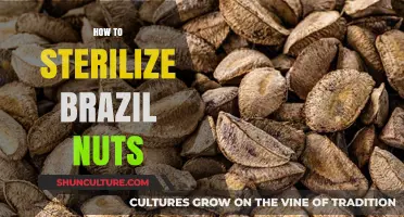Sterilizing Brazil Nuts: A Simple Guide for Safe Consumption