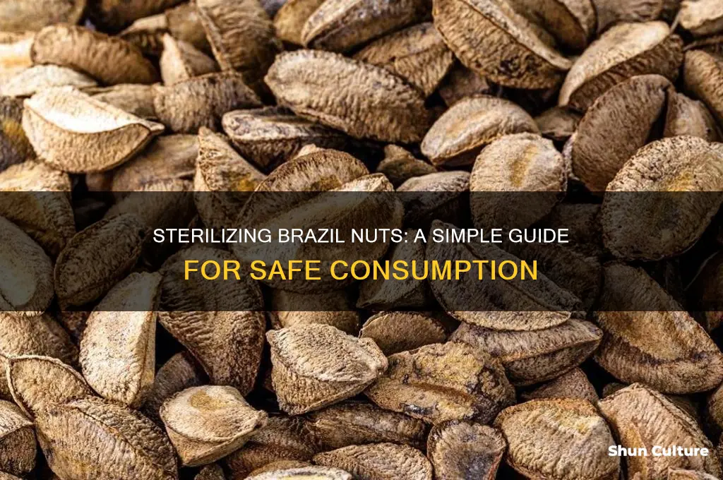 how to sterilize brazil nuts