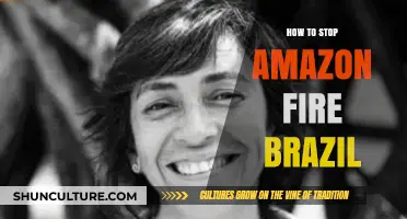 Preventing Amazon Rainforest Fires: Effective Strategies for Brazil's Conservation