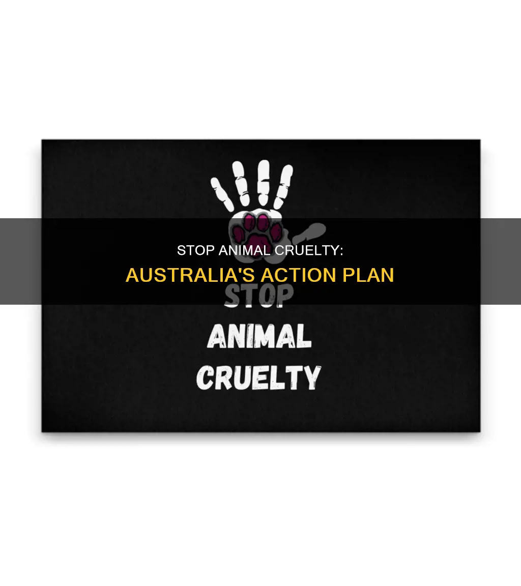 how to stop animal cruelty in australia