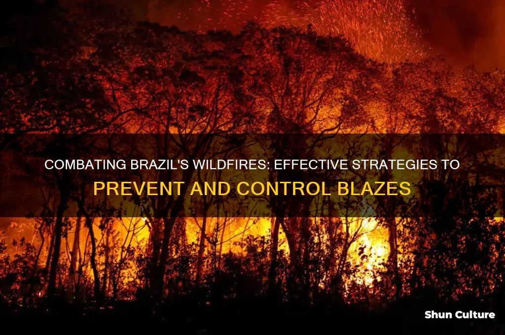 how to stop brazil wildfire