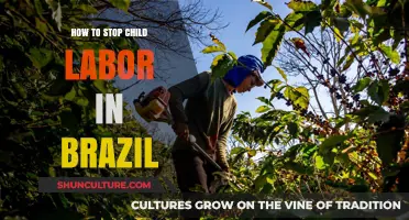 Ending Child Labor in Brazil: Strategies for a Brighter Future