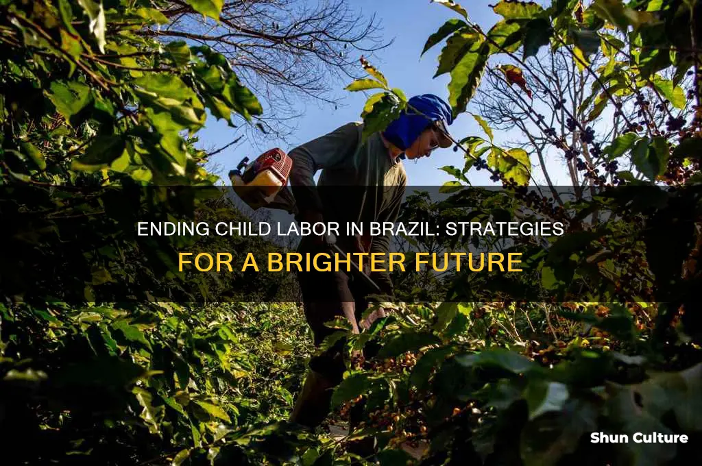 how to stop child labor in brazil