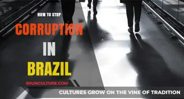 Ending Corruption in Brazil: Strategies for Transparency and Accountability