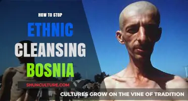 Ending Bosnia's Ethnic Cleansing: Strategies for Peace and Justice