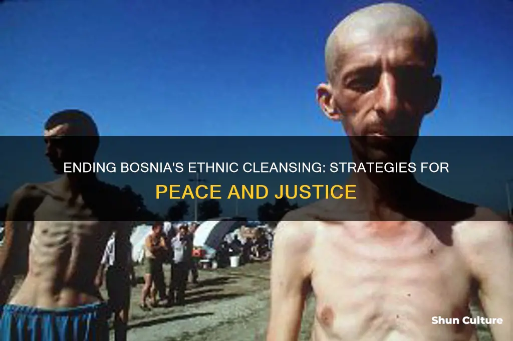 how to stop ethnic cleansing bosnia